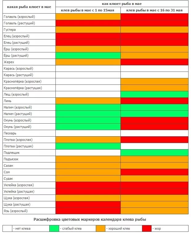 Какая рыба на что клюет. Что клюет в мае. Какая рыба клюет в мае. Что клюет в конце мая. Какая рыба клюет в апреле