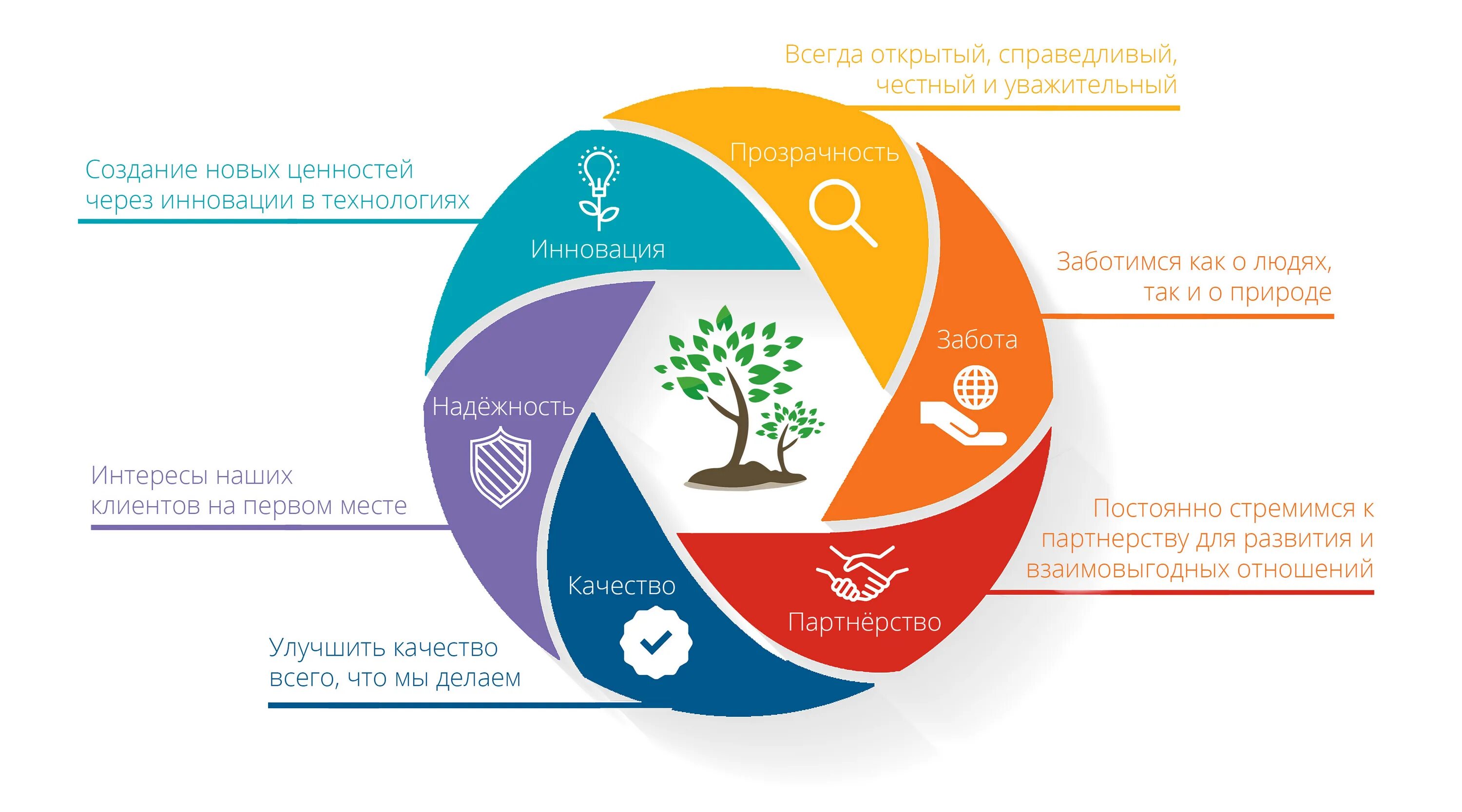 Отчетность устойчивое развитие