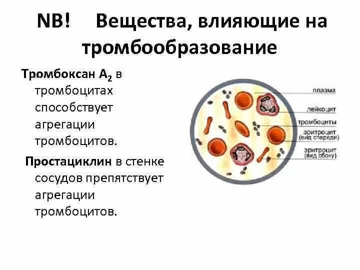 Низкий тромбоцит что это значит у мужчин. Тромбоксан стенки сосудов. Тромбоксан а2 препараты. Тромбоксан а2 тромбоцитов. Тромбоксан а2 влияние на сосуды.