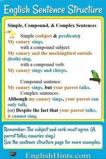 Simple sentences in english