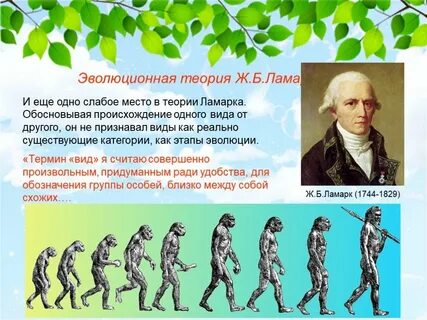 Эволюционная биология развития теория