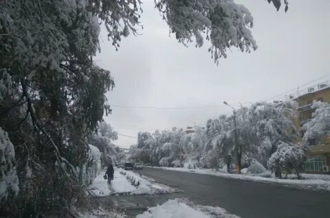 Какая погода в таразе