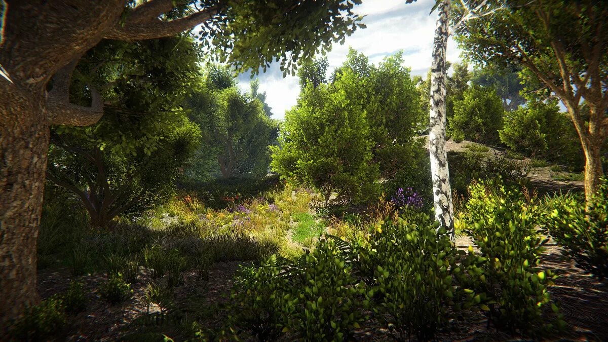 Environments view