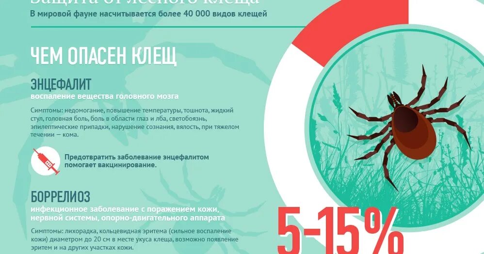 Оформить страховку от клеща. Антиклещ страховка. защита от энцефалитного клеща. вакцина от энцефалитного клеща. защита от укусов клещей.