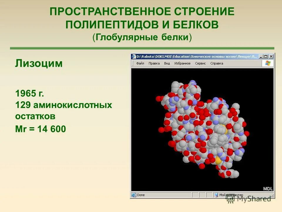 Пространственное строение белков. Первичная вторичная третичная и четвертичная структура молекулы. Пространственное строение белков. Схема первичной структуры белковой молекулы. Белки пространственная структура.