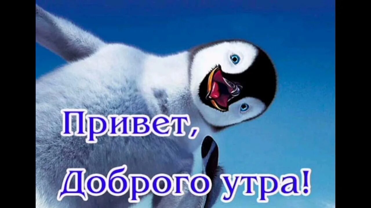 Привет глупая. Смешные картинки с добрым утром. Доброе утро Пингвин. С добрым утром Пингвин. Веселое Приветствие с добрым утром.