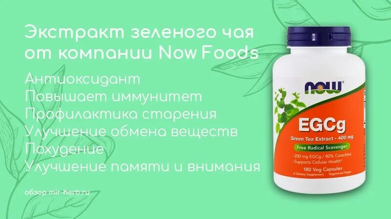 Экстракт зеленого чая эвалар. Зеленый чай бад. Зеленого чая экстракт эвалар для контроля веса. Экстракт листьев зеленого чая. Экстракт зеленого чая для чего.