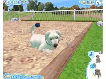 Dogz