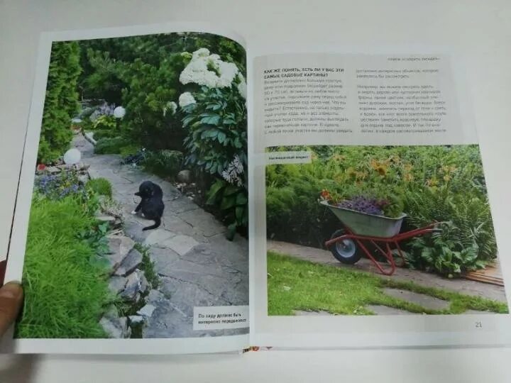 Ландшафтный дизайн Светлана Устелимова Электронная книга купить с доставкой по