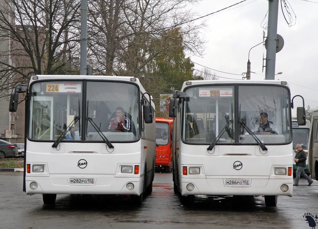 Автобус 40 нижний новгород с остановками. Автобус ЛИАЗ 5256 Нижний Новгород. Нижний Новгород автобусы автостанция Щербинки. Автовокзал Щербинки Нижний Новгород. Остановка автостанция Щербинки.