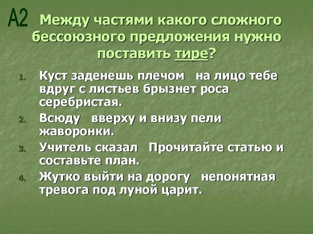 Куст заденешь плечом