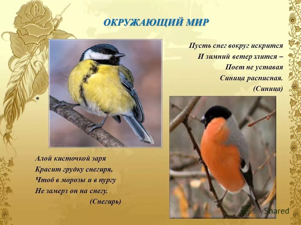 алой кисточкой заря красит грудку. синичка и снегирь. алой кисточкой заря красит грудку. стих про снегиря. текст снегири в доме было 2 окна.