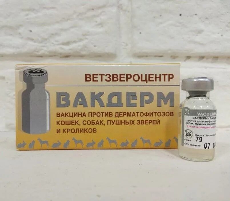 Вакдерм вакцина для котят. Вакдерм (флак) (10 доз/уп.). Вакдерм для животных в уколах.