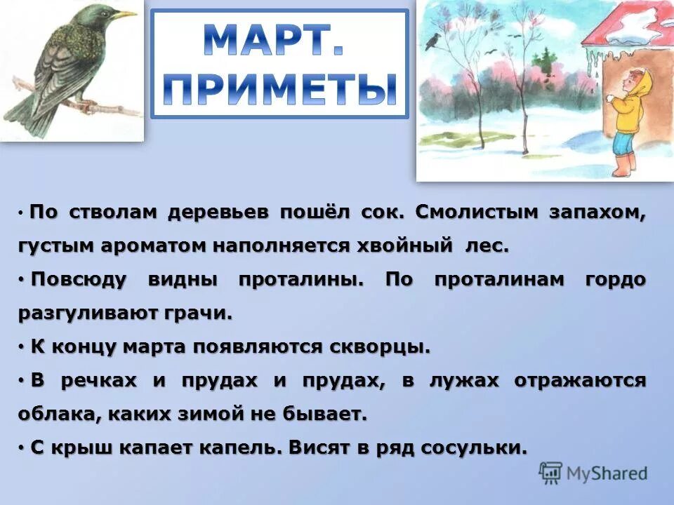 грачи на проталинах. миграция грачей. 17 марта – герасим грачевник (увидел грача – весну встречай). грачи на проталинах. по черным проталинам важно ходят грачи.