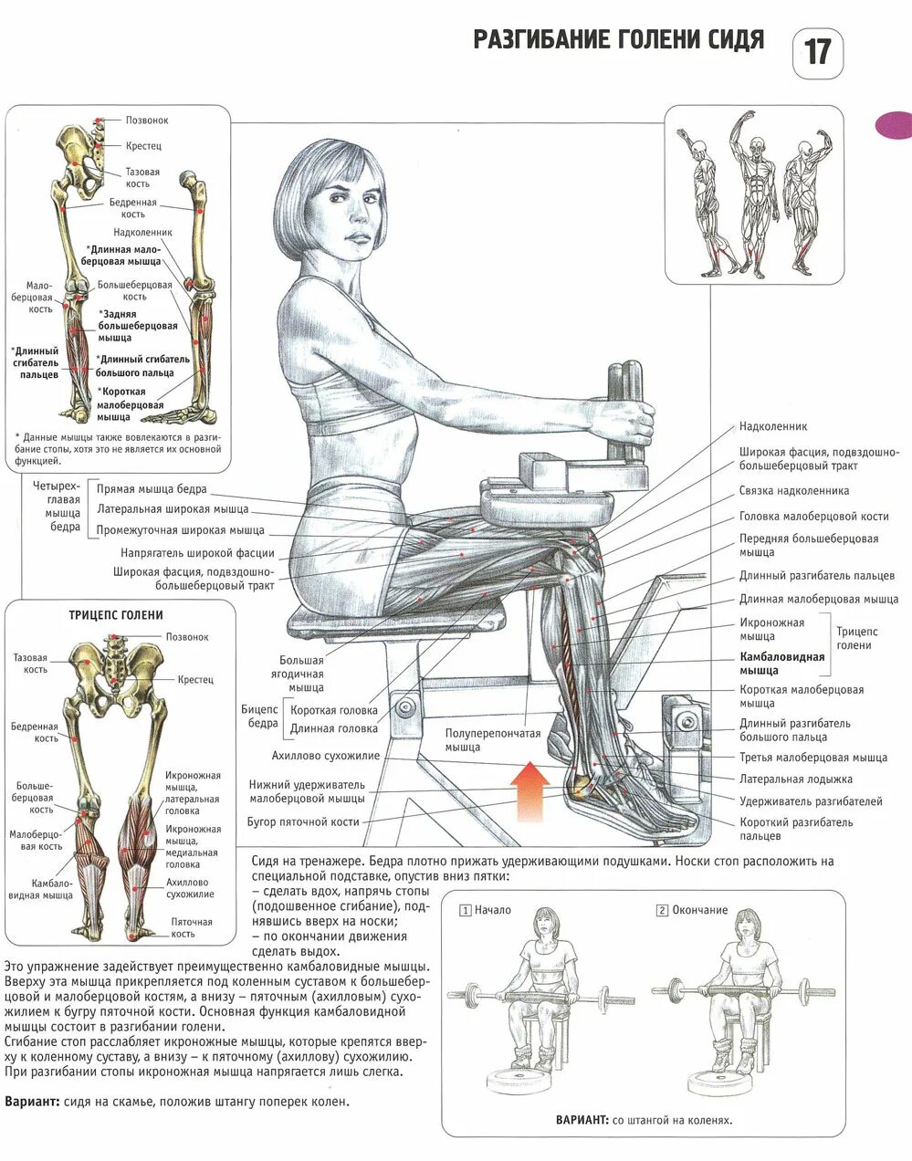 Комплекс упражнений при плоскостопии. Упражнение длина ног. Упражнение длина ног. Упражнение длина ног. Стройные и красивые ноги упражнения.