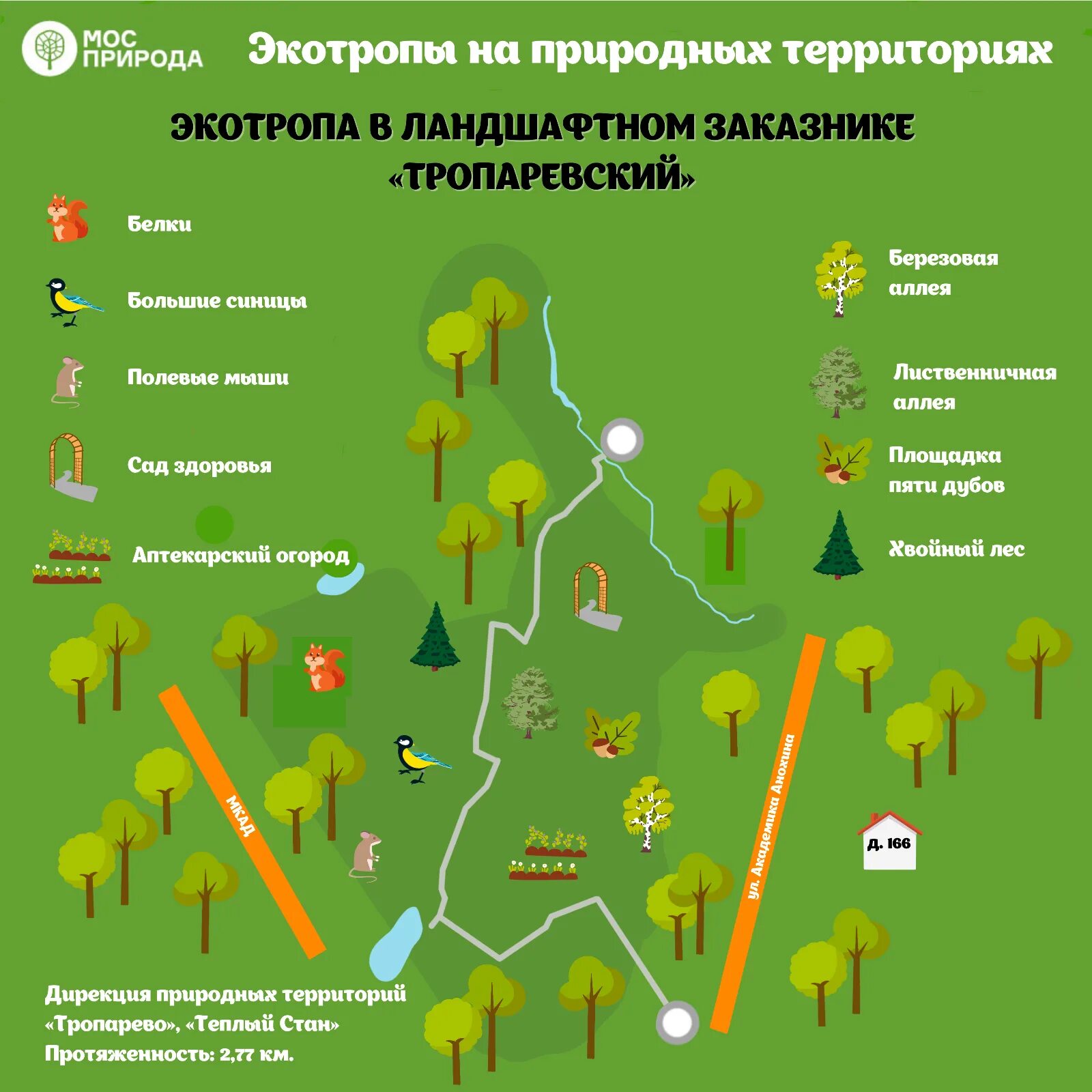 На природных территориях Москвы открыты экотропы / Новости города / Сайт Москвы