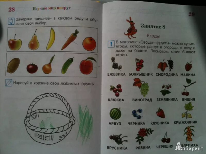 Мир вокруг 6 7. Изучаю мир вокруг 5-6. Изучаю мир вокруг 5 6 лет. Изучаю мир вокруг для детей 4-5 лет. Изучаю мир вокруг для детей 5-6 лет часть 1.