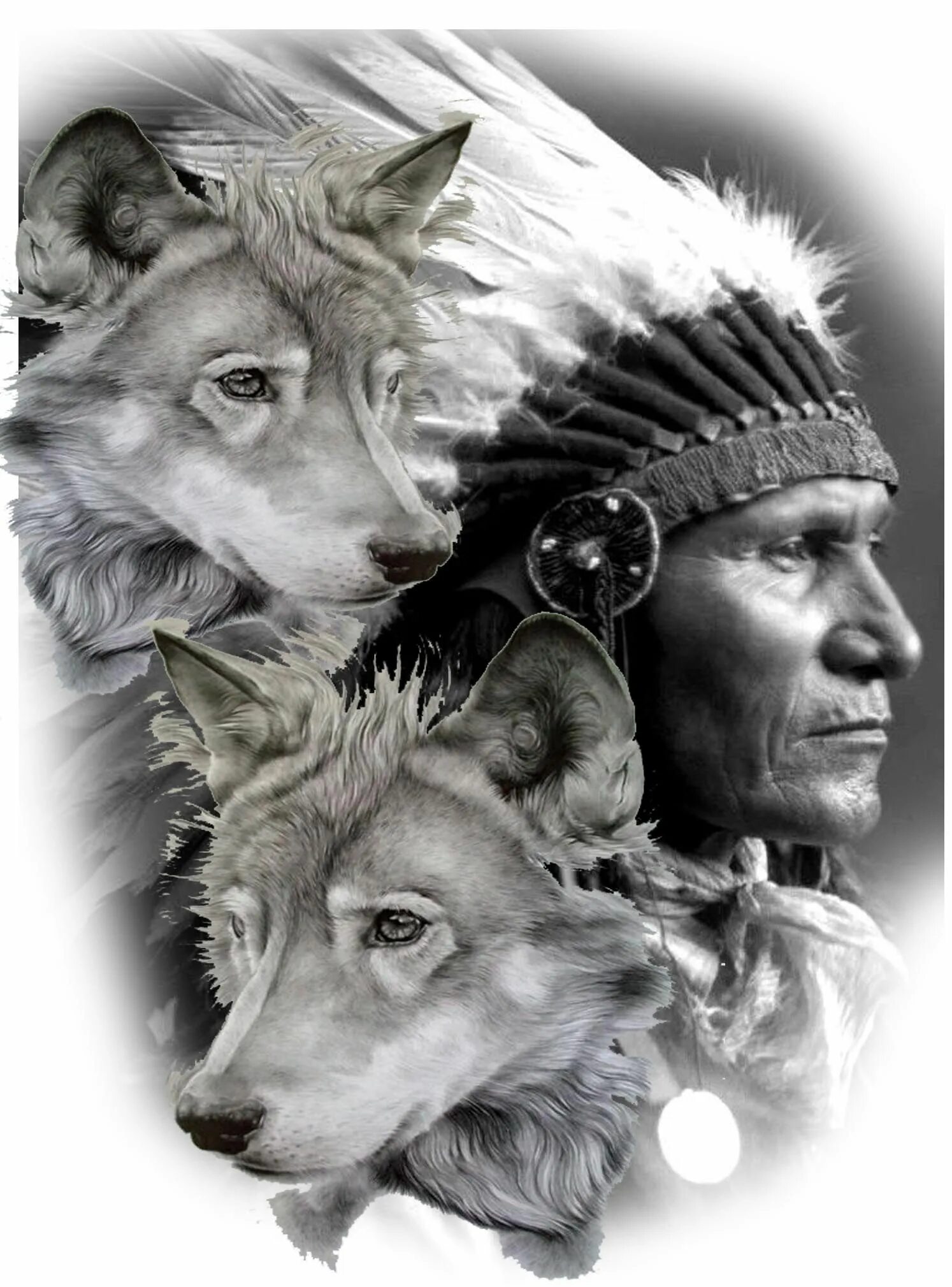 Волк индеец арт. Индеец танцует с волком. Волк портрет. Native americans волк. Шаманский тотем волка.