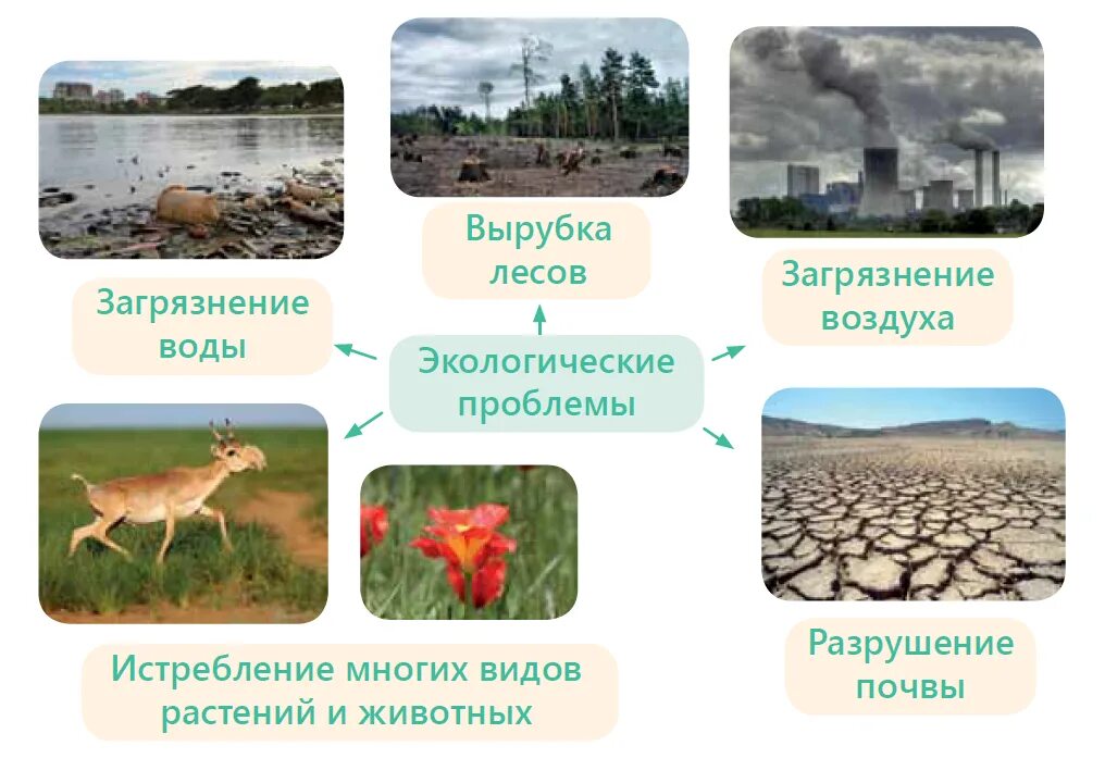 Почему надо бережно относиться к окружающей среде. Как надо относиться к окружающей среде. кластер на тему бережное отношение к окружающей. как следует относиться к окружающему миру?.