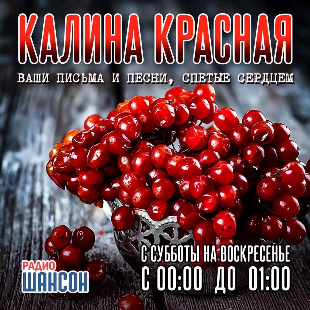 Калина красная и девушка. Калина красная и девушка. Сборник калина красная. Шансон калина красная. Калина красная калина вызрела песня.