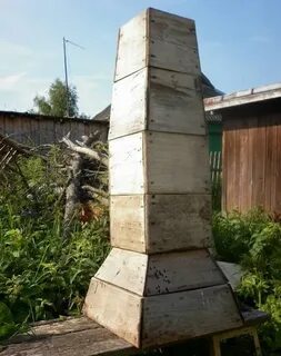 Ульи корень