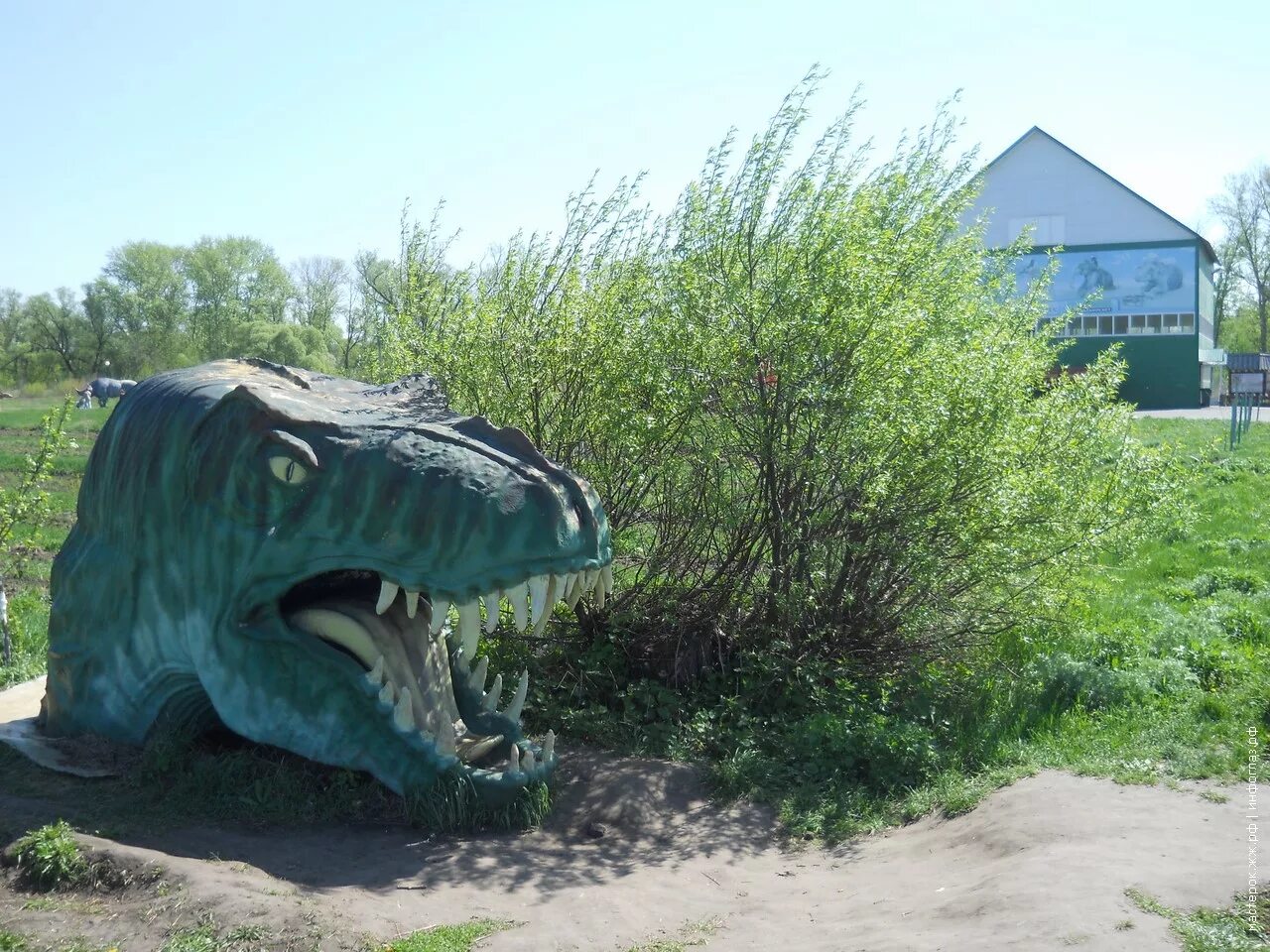 Старый оскол зоопарк цена. Старооскольский зоопарк старый Оскол. Старый Оскол зоопарк старый Оскол. Старооскольский зоопарк, Хутор Чумаки.