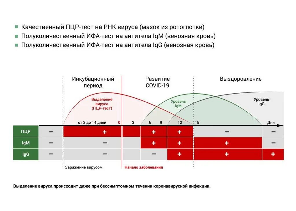 На какой день проявляется ковид после контакта. Пцр-тестирование на covid-19. результат пцр теста. пцр тест на антитела. пцр тест на ковид.