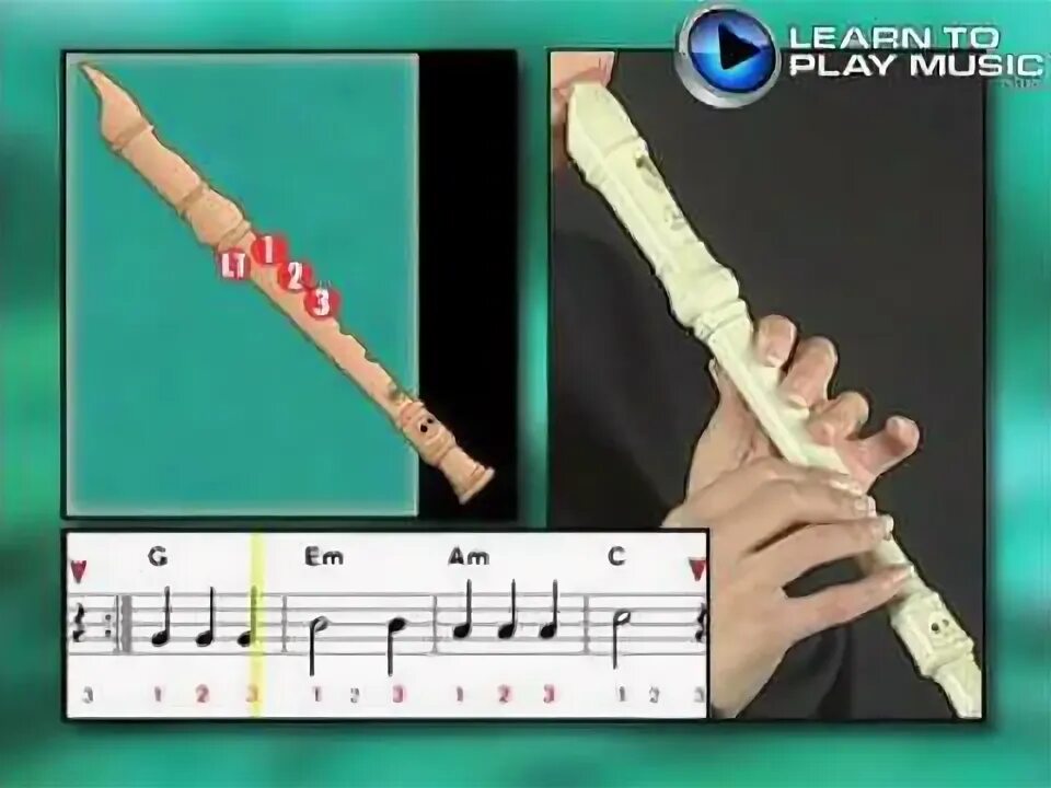 Playing recorder. Recorder. play the recorder. recorder picture.