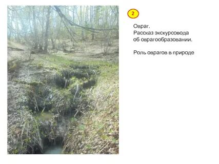 Овраги рассказ