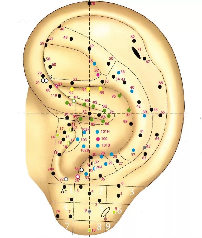 аурикулотерапия точки. аурикулотерапия книги. акупунктурные точки ушной раковины. аурикулотерапия точки на ухе. акупунктура уха точки.