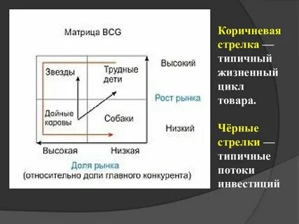 Матрица жизненного цикла