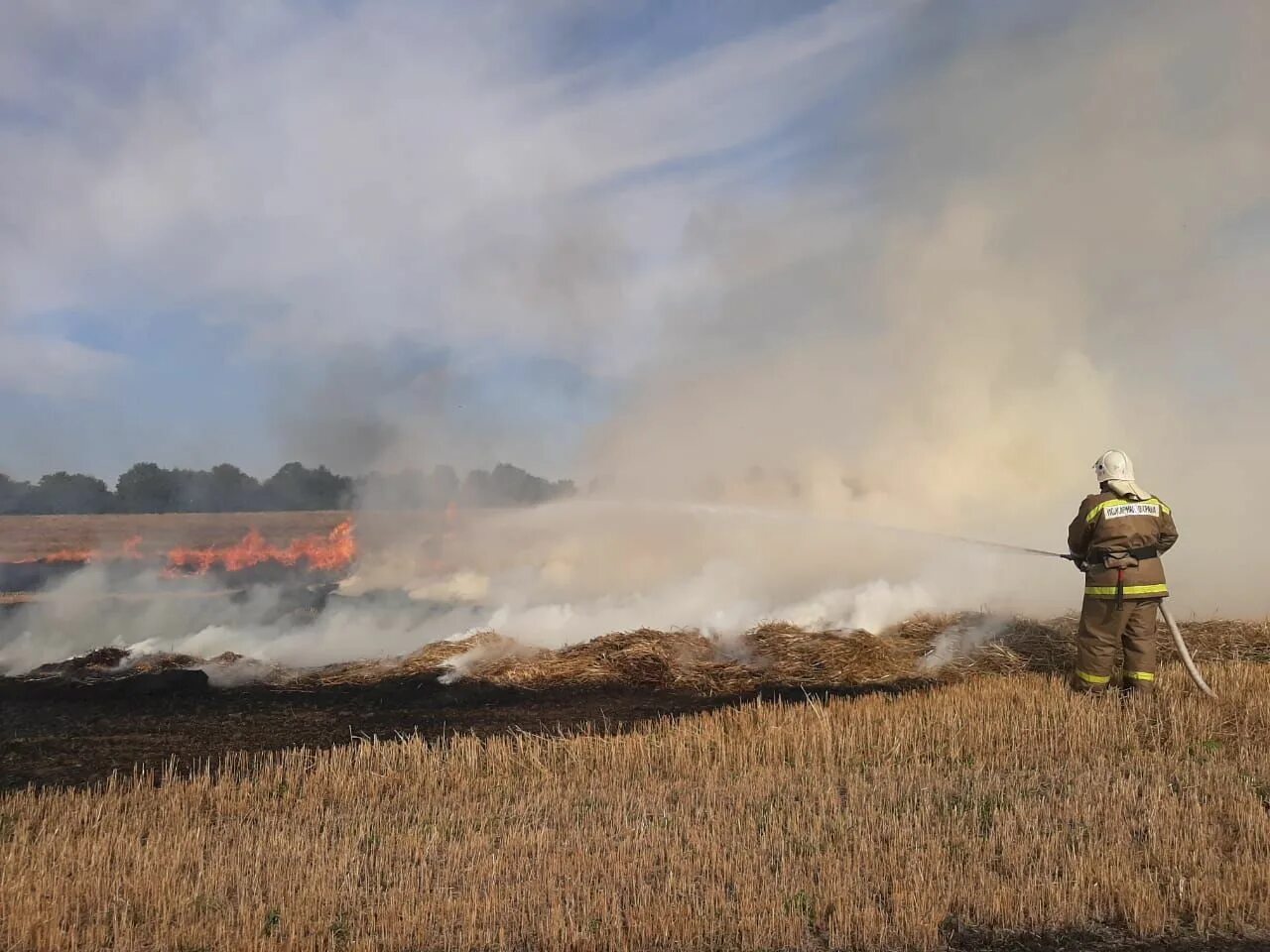 Пожар в поле. Где горит поле. Поле в огне. Горит пшеница. Горящее поле.