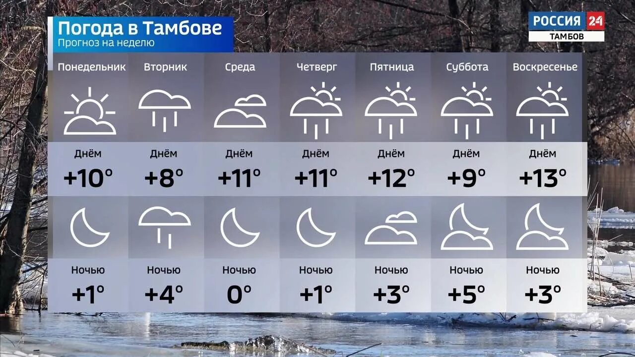 Прогноз погоды по часам моршанск. Погода в Тамбове. Погода в Тамбове на неделю. Погода в Тамбовском. Прогноз погоды в Тамбове на неделю.