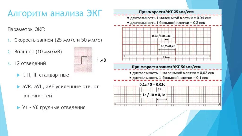 Скорость записи ЭКГ 25 мм с. Скорость записи ЭКГ 50 мм с. 1 Клеточка на ЭКГ при 25 мм. Вольтаж ЭКГ 10 МВ. Мв на экг