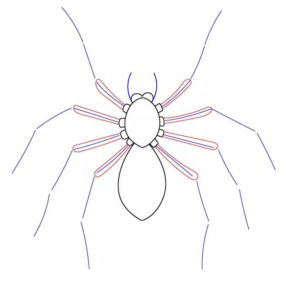 Паук карандашом легко. Паук карандашом. Рисунки пауков карандашом. Нарисовать паука. Паук рисунок легкий.