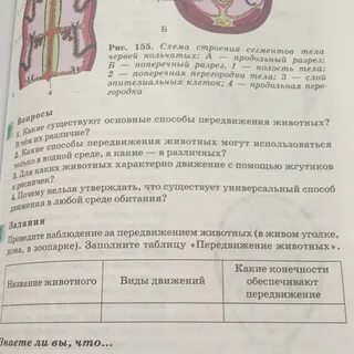 Заполните опорную схему способы передвижения животных