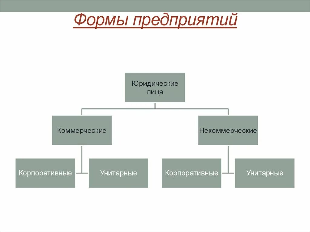 Организационные формы фирм экономика. Формы предприятий в экономике. Формы фирм в экономике. Формы организации фирмы в экономике. Предмет экономической организации