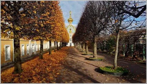 Где можно погулять в питере осенью