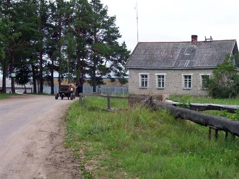 Погода дубровка себежский