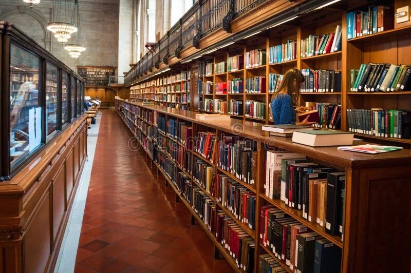 What is a library