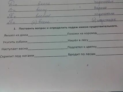 Поставьте к именам существительным вопросы