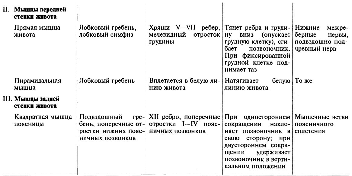 Начало прикрепление функции мышц. Мышцы живота таблица. Мышцы живота и их функции таблица. Поверхностные мышцы живота таблица. Мышцы груди и живота таблица.