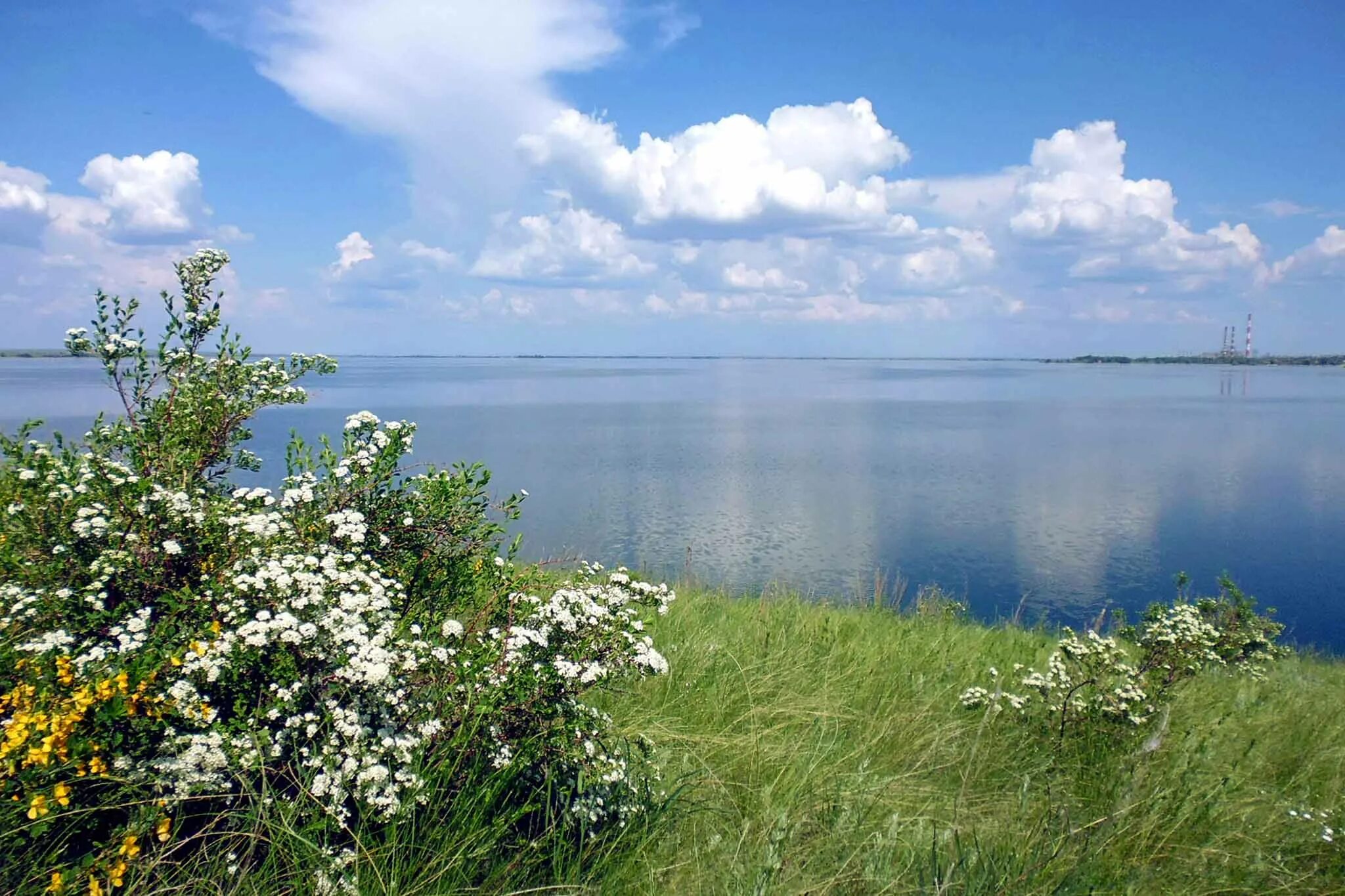 Остров чаек Ириклинское водохранилище. Водохранилища Оренбургской области. Ириклинское водохранилище Оренбургская область. Оренбургское водохранилище. Ириклинское водохранилище оренбургская область фото