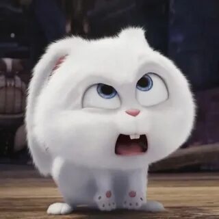 Заяц из мультика домашние животные