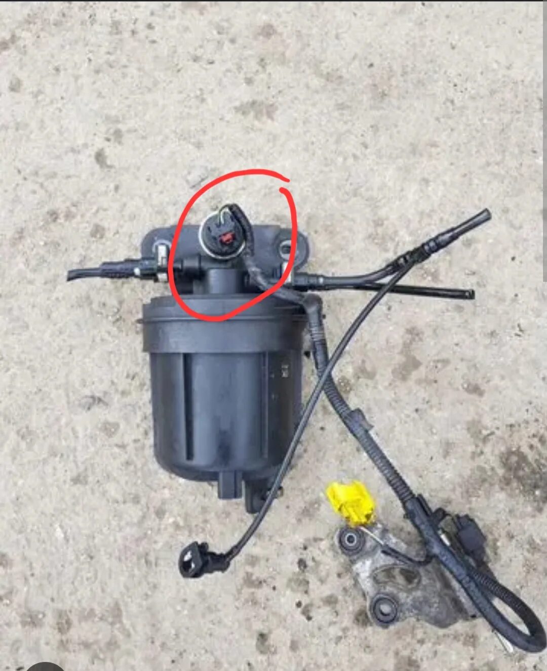 Fuel filter replacement overview 2004 Ford F250 F150 Popular Ford Fuel Filter In