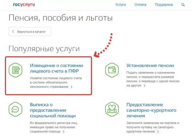 Информирование о состоянии лицевого счета. Выписка пфр госуслуги. выписка с госуслуг из пенсионного фонда. выписка из лицевого счета в пенсионном фонде через госуслуги. лицевой счет в госуслугах.