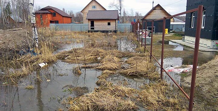 Какие участки подтоплены. Подтопление участка. Подтопление грунтовыми водами. Подтопление участка весной. Участки с высокими грунтовыми водами.