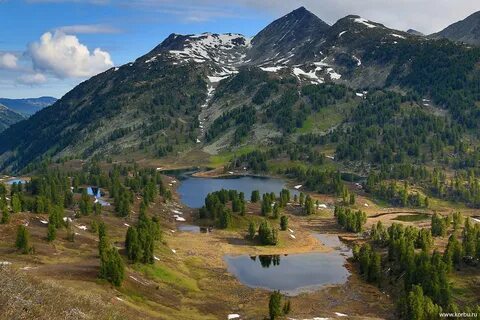 Altai territory