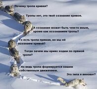 Почему тропа кривая? Тропы нет, это твоё сознание кривое. А сознание может быть чем-то иным, кроме.. 2020 ВКонтакте