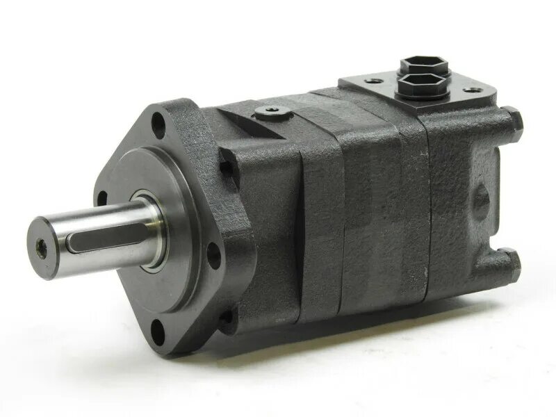 Гидромотор ms. Гидромотор ms. Ms 125 гидромотор. Героторный гидромотор trw mac 16 - 27. Гидромотор ms 200 cm.